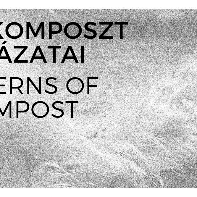 Borbély Zita – Egy komposzt mintázatai